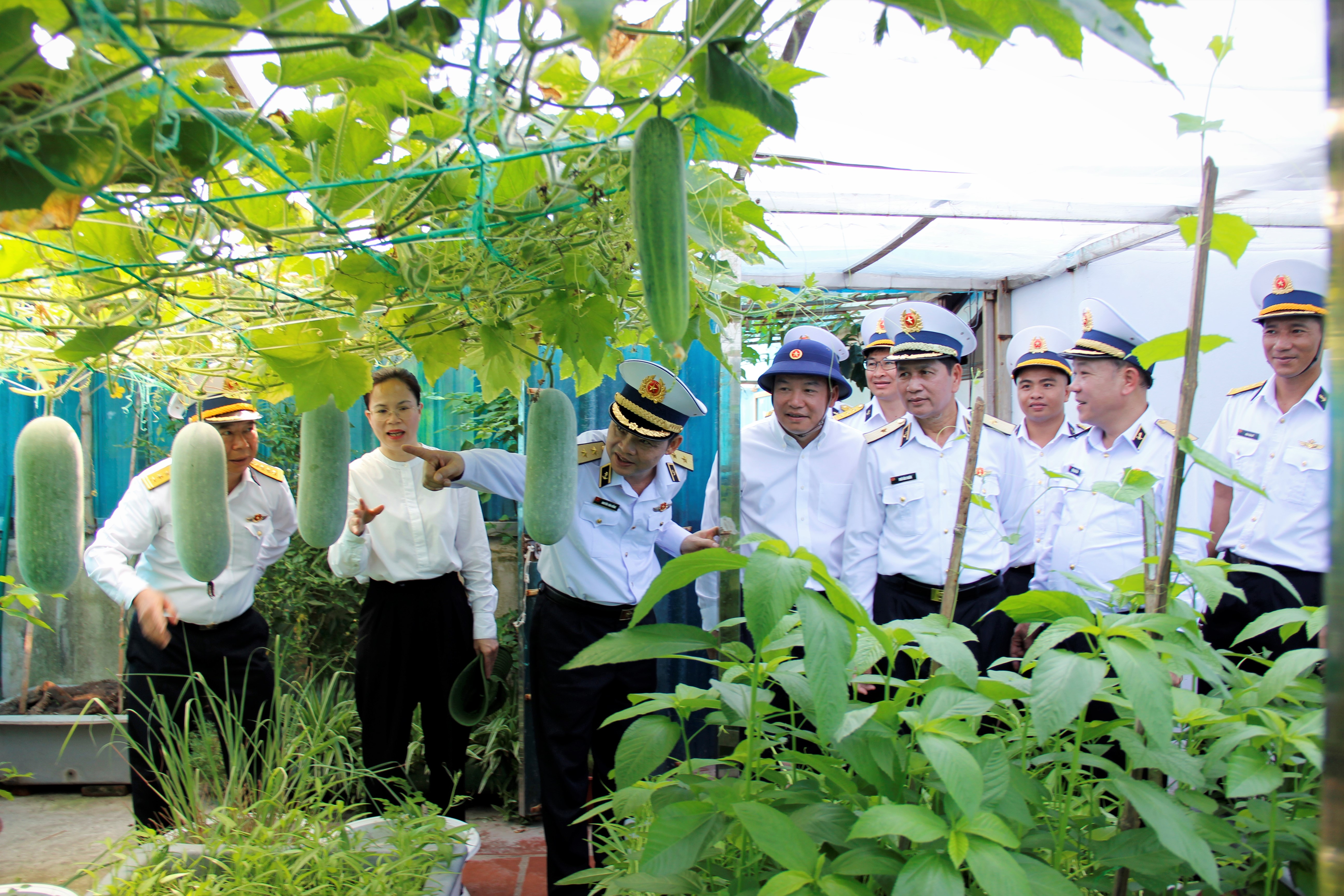 Các đồng chí lãnh đạo Đoàn công tác số 9 thăm vườn rau xanh của cán bộ, chiến sỹ tại đảo Tốc Tan C. 