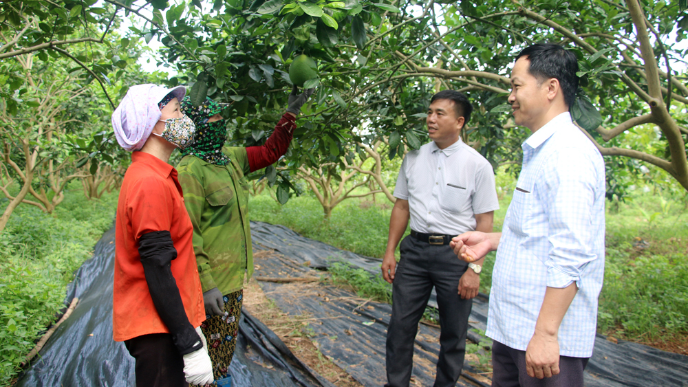 Các thành viên Tổ DVCĐ thôn Nguộn, xã Tự Lạn (Việt Yên) chia sẻ kinh nghiệm phát triển kinh tế. 