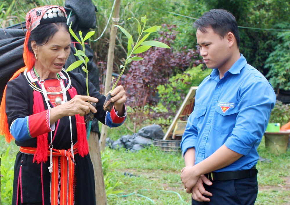 Bà Trương Thị Hậu giới thiệu về giống cây lâm nghiệp do gia đình sản xuất.