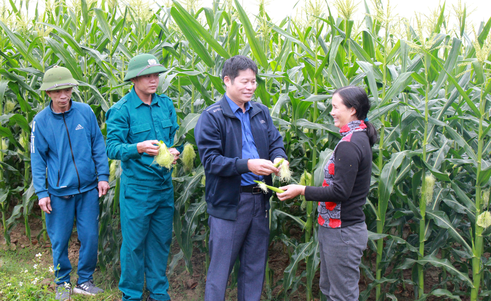 Các đảng viên là hội viên nông dân xã Ngọc Lý (Tân Yên) hướng dẫn người dân kỹ thuật trồng cây vụ đông.