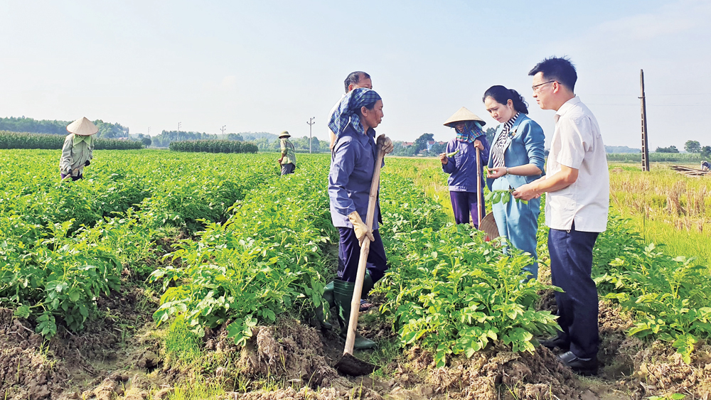  Cán bộ, đảng viên Chi bộ thôn Cây Táo Tân Thành, xã Tân Hưng (Lạng Giang) thăm mô hình sản xuất của người dân.