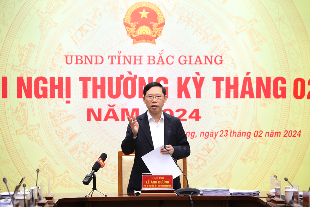 Đồng chí Lê Ánh Dương kết luận hội nghị.