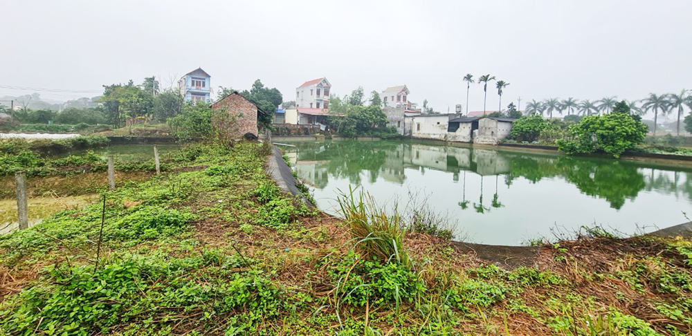Nhà ở, ao cá và khu chăn nuôi của một đảng viên ở xã Song Mai (TP Bắc Giang) xây dựng trên đất nông nghiệp. 