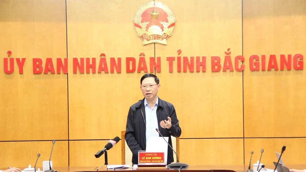 Đồng chí Lê Ánh Dương kết luận buổi làm việc.