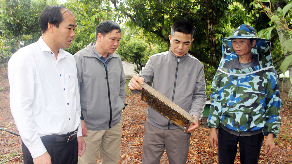 Đảng viên Đồng Xuân Dũng (thứ hai từ phải qua) cùng lãnh đạo UBND xã Cẩm Đàn (Sơn Động) kiểm tra đàn ong tại gia đình anh Nông Văn Phong. 