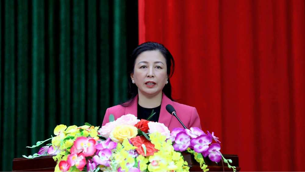 Đồng chí Lê Thị Thu Hồng phát biểu tại hội nghị. 