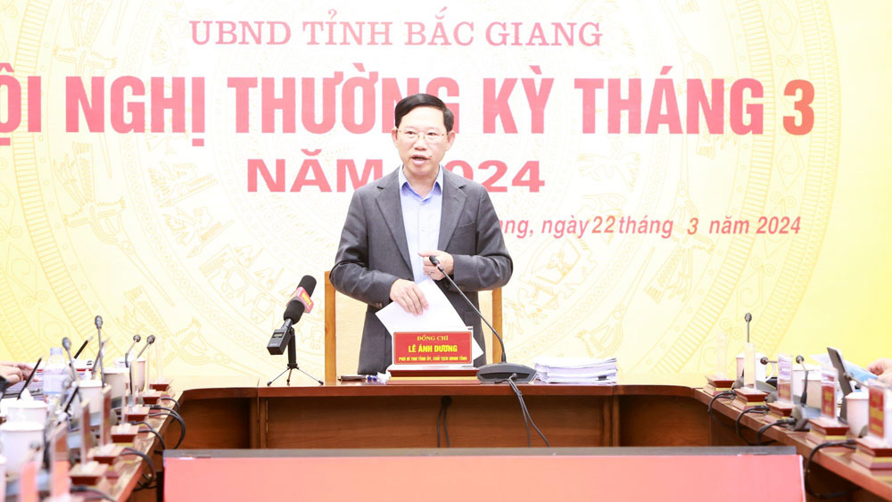 Đồng chí Lê Ánh Dương kết luận tại hội nghị.