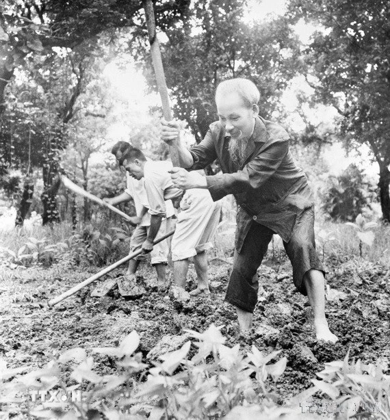 Tranh thủ lúc rảnh rỗi, Bác Hồ cùng các đồng chí trong cơ quan cuốc đất trồng rau tại vườn Phủ Chủ tịch (năm 1957). (Ảnh: TTXVN)