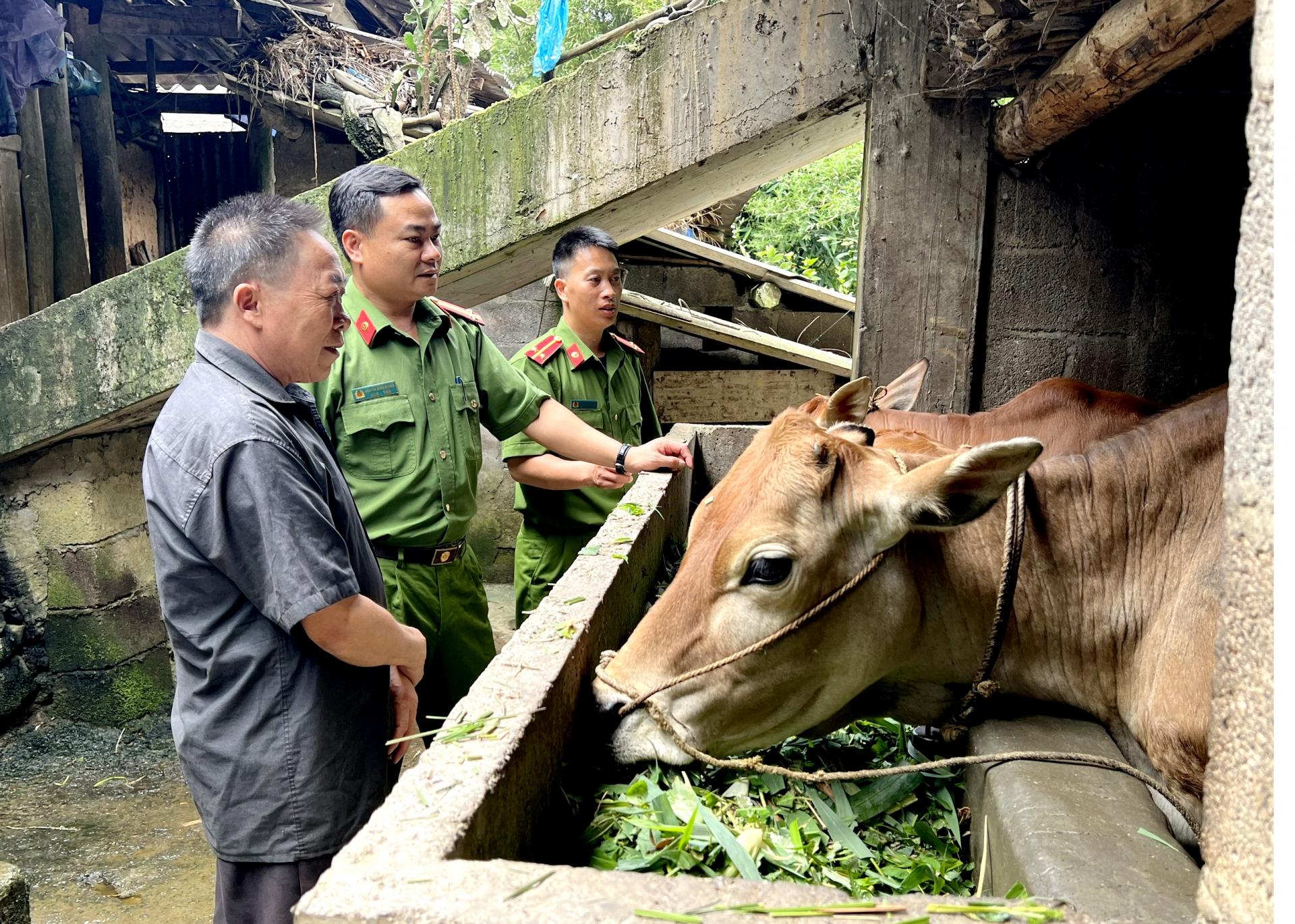 Công an xã Xín Cái (Mèo Vạc) thường xuyên bám nắm địa bàn, xây dựng các Chi bộ thôn, bản vững mạnh. Ảnh: D.L