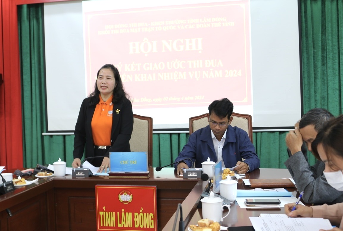 Bà Phạm Thị Ánh Tuyết - Chủ tịch Hội LHPN tỉnh, Trưởng Khối thi đua Thông qua Dự thảo kế hoạch triển khai thực hiện phong trào thi đua 