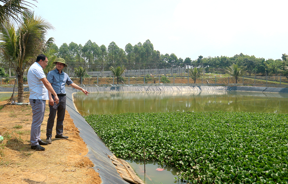 Nông dân Thanh Thủy học và làm theo Bác