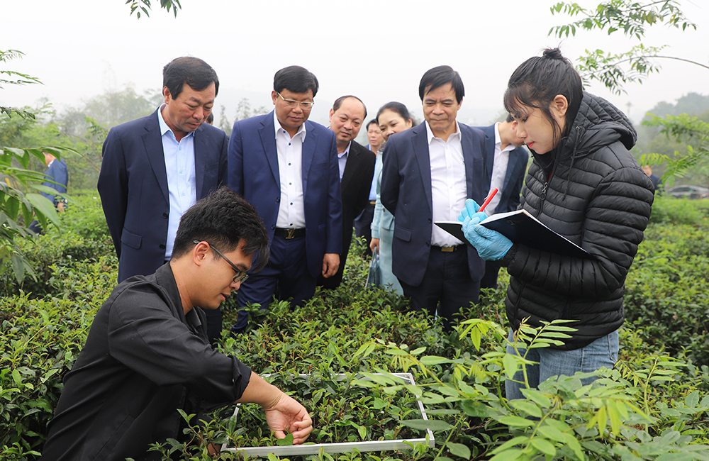 Chủ tịch UBND tỉnh Bùi Văn Quang làm việc với Viện Khoa học Kỹ thuật nông lâm nghiệp miền núi phía Bắc