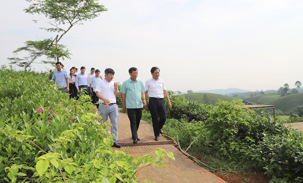 Chủ tịch UBND tỉnh Bùi Văn Quang làm việc tại huyện Tân Sơn