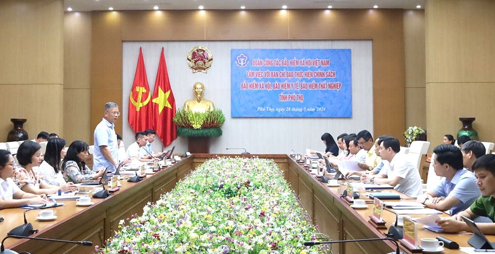 Bảo hiểm Xã hội Việt Nam làm việc với Ban Chỉ đạo thực hiện chính sách BHXH, BHYT trên địa bàn tỉnh