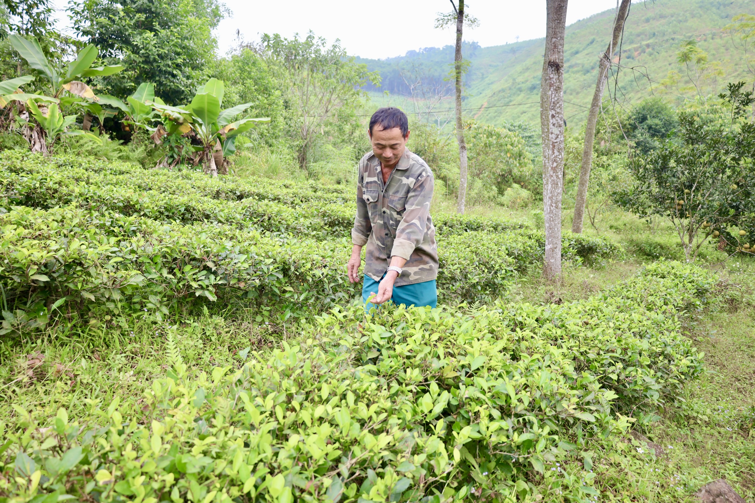 Ông Trần Văn Thanh – người có uy tín tiêu biểu ở xã Xuân Đài