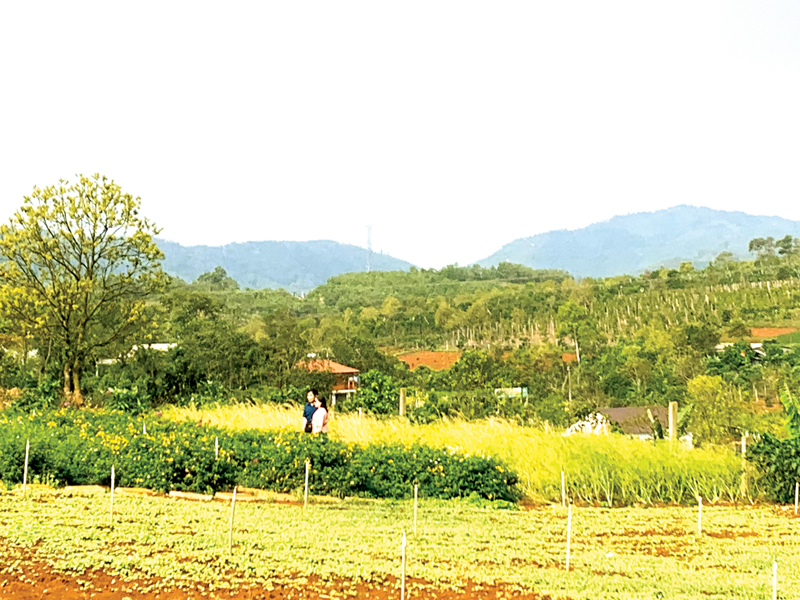 Công tác kiểm tra, giám sát góp phần đưa Cam Lộ về đích huyện nông thôn mới nâng cao