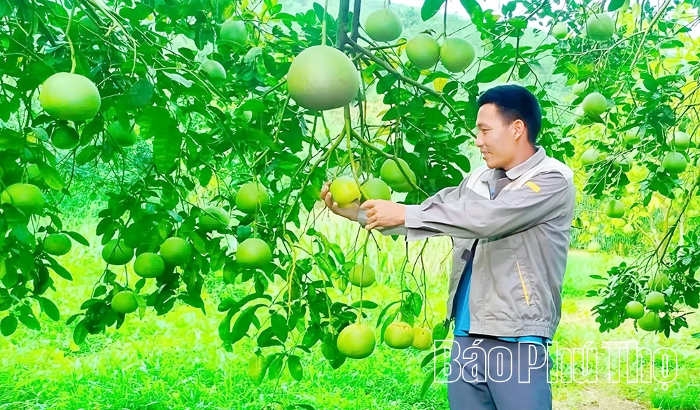 Học Bác “nói đi đôi với làm”