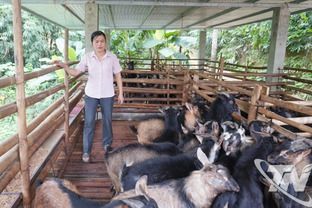 Khát vọng thoát nghèo ở Yên Phong