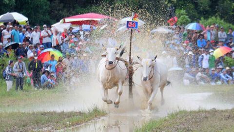 Bài 2: Chuyển hóa chính sách thành sức sống cộng đồng