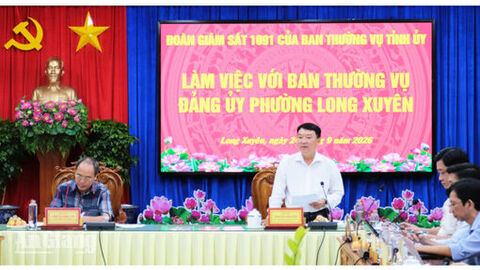 Tỉnh ủy An Giang giám sát công tác cán bộ tại phường Long Xuyên 