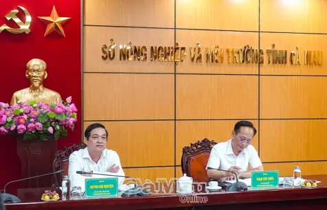Đề xuất sắp xếp, giảm đầu mối ban quản lý rừng