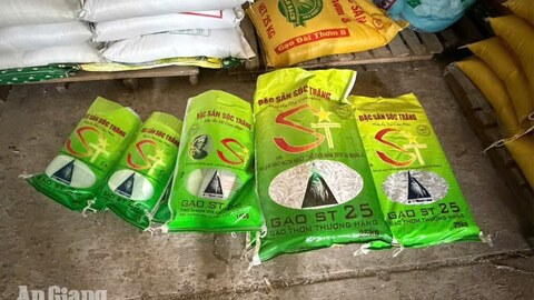 Khởi tố vụ án đóng gói, kinh doanh gạo giả mạo nhãn hiệu ST25