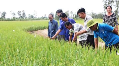Nhơn Mỹ định hình hướng phát triển mới