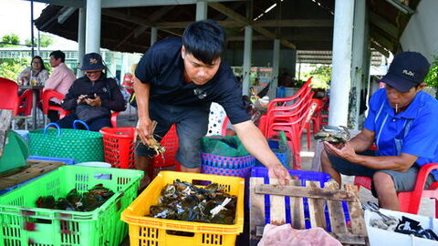 Cầu nối đưa sản vật biển vươn xa