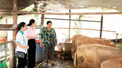 Nhiều mô hình hỗ trợ phụ nữ ở xã Bình Hòa