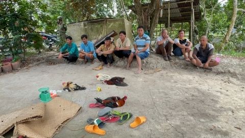 Triệt phá tụ điểm đá gà ăn thua bằng tiền