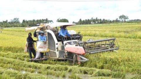 Đảng bộ xã An Biên chú trọng xây dựng Đảng gắn với phát triển kinh tế - xã hội