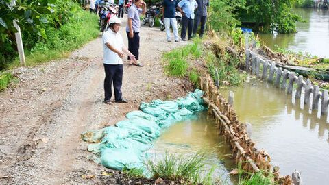 Bí thư Đảng ủy xã Thạnh Mỹ Tây kiểm tra các tuyến đê xung yếu