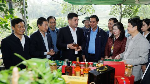 Bí thư Tỉnh ủy Nguyễn Hồng Thái thăm mô hình sản xuất nông nghiệp tiêu biểu