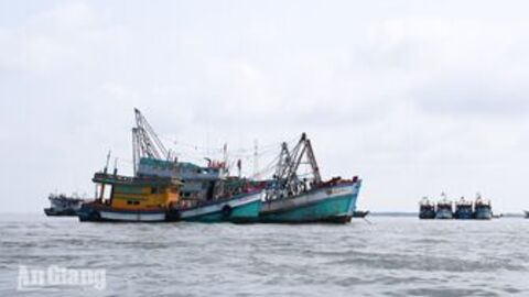An Giang ứng phó mưa lớn, gió mạnh trên biển