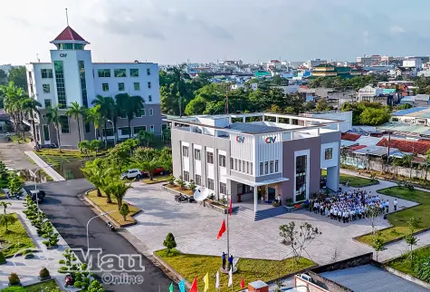 Bước tiến của báo chí Cà Mau từ sức mạnh cộng hưởng