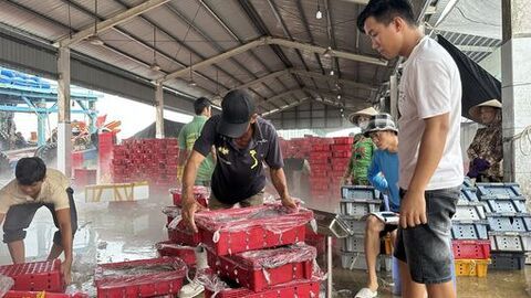 Địa phương phải chịu trách nhiệm nếu tái diễn tình trạng tàu cá vi phạm, làm chậm tiến độ gỡ thẻ vàng EC 