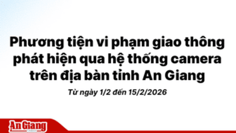 Phương tiện vi phạm giao thông phát hiện qua hệ thống camera trên địa bàn tỉnh An Giang từ ngày 1/2 đến 15/2/2026