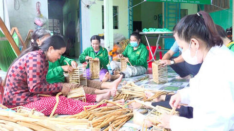 Lục bình “dệt” sinh kế