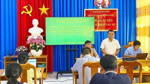 Tập huấn sử dụng AI trong quản lý, bảo vệ rừng