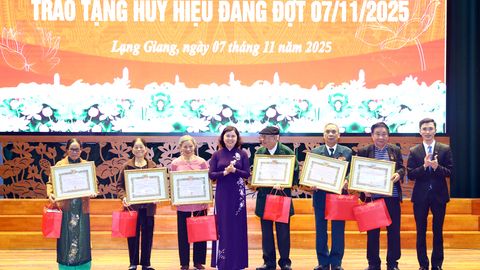 38 đảng viên Đảng bộ xã Lạng Giang được trao tặng Huy hiệu Đảng