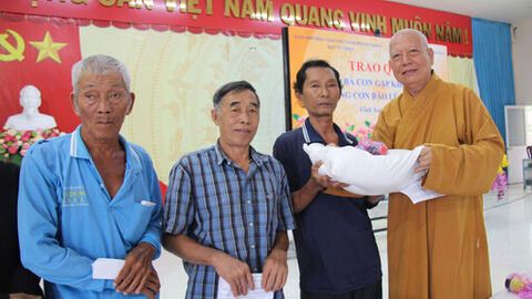 Cấp ủy vững, địa phương phát triển