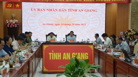 Rà soát, xử lý dứt điểm tàu cá không đủ điều kiện hoạt động