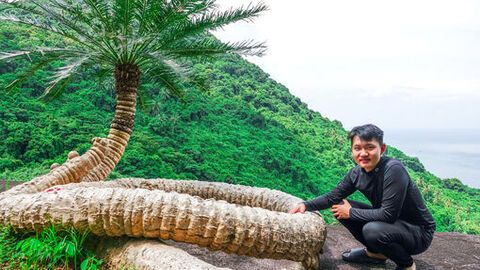 Vẻ đẹp “cụ” thiên tuế ở Hòn Sơn