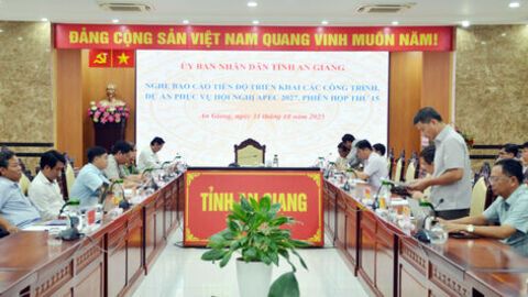 Chủ tịch UBND tỉnh chỉ đạo xử lý các công việc của APEC theo tinh thần “luồng xanh” 