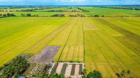 Khởi sắc kinh tế tập thể vùng sâu