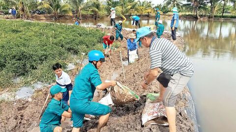 Nước lũ dâng cao, xã Ba Chúc gia cố đê bao để bảo vệ rau màu