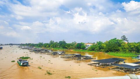 Nồng nàn Cù Lao Giêng