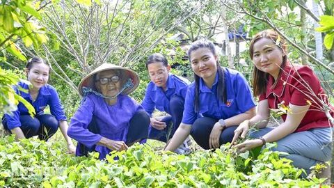 Vẹn nghĩa tri ân người có công