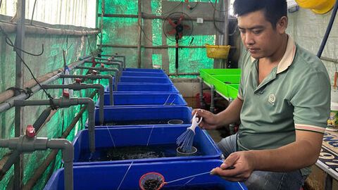 Chuyện về “kỹ sư lươn”