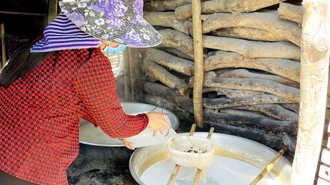 Mùa nấu đường thốt nốt của đồng bào Khmer